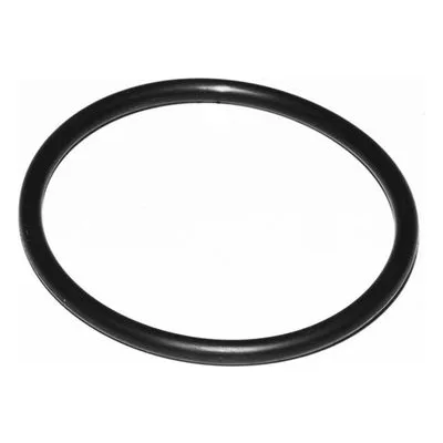 Yamada Pumps Part # 683996 O RING 44.4 MM X3.1 MM E70