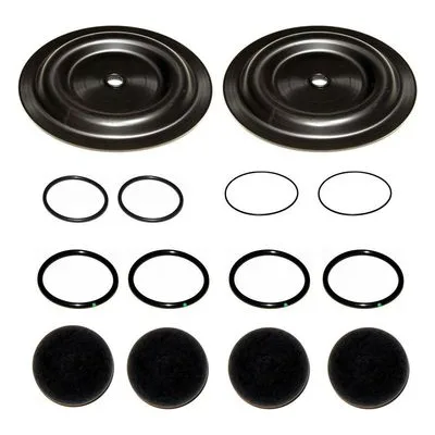 Yamada Pumps Kit K25-MS-1