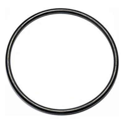 Yamada Pumps Part # 640078 O RING 139.3MM X 5.7MM B70