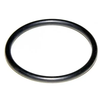 Yamada Pumps Part # 683123 O RING 18.77MM X 1.78MM B70