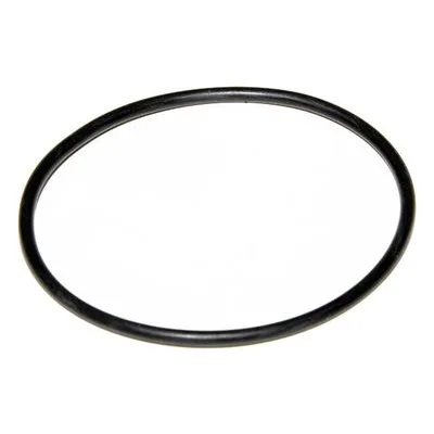 Yamada Pumps Part # 640139 O RING 69MM X 3MM B70