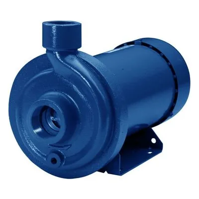 100MC1C5E6 Goulds Water Technology MCC Series Stainless Steel Pumps, 1/2HP 3/60/230-460 TEPE 4.44" a Xylem Product.