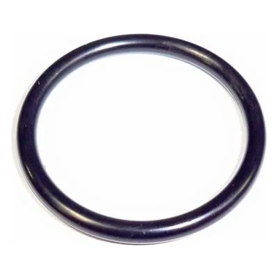 Yamada Pumps Part # 640131 O RING 29.4MM X 3.1MM G30