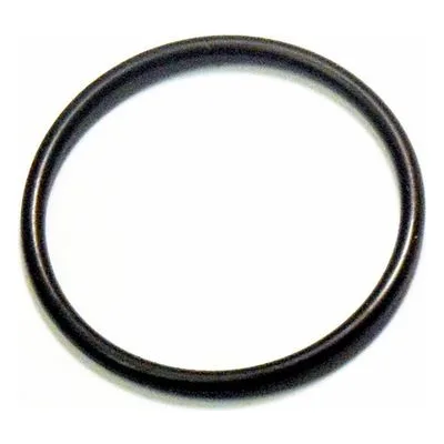 Yamada Pumps Part # 684900 O-RING 26.2MM X 1.9MM