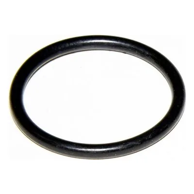 Yamada Pumps Part # 685276 O RING 23.3mmx2.4mm