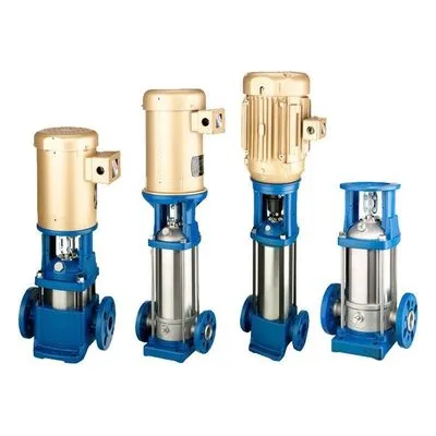 Berkeley Pumps Verticle Multi-Stage Pump BVM1-10-100