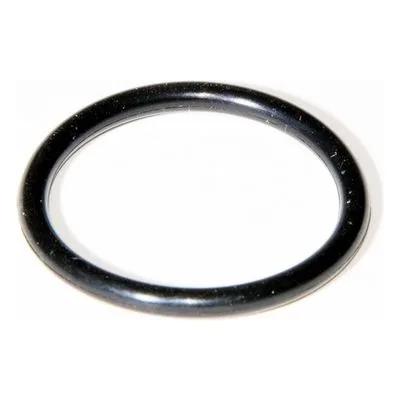 Yamada Pumps Part # 771080 O RING 23.47X2.62 (-119 BUNA)