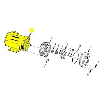 AMT Pump Repair Part 1626-302-00, 0.75HP 1PH TEFC 56J 60/50HZ JET MOTOR