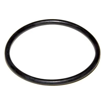 Yamada Pumps Part # 640065 O RING 89.3MM X 5.7MM B70 NDP-40