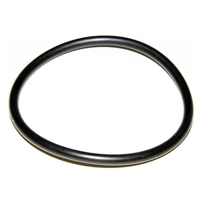 Yamada Pumps Part # 683999 O RING 89.6 MM X5.7 MM E70