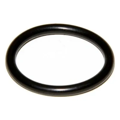 Yamada Pumps Part # 640017 O RING 19.6MM X 2.4MM B70