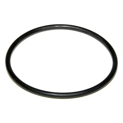 Yamada Pumps Part # 640069 O RING 104.3MM X 5.7MM B70