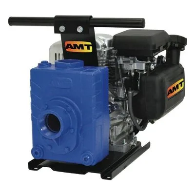 AMT Pump 4222-95, 2" NPT Dewatering Pump, Briggs & Stratton OHV Engine Type, American Machine and Tool