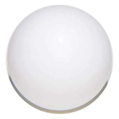 Yamada Pumps Part # 770931 BALL 10T -16MM PTFE