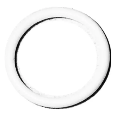Yamada Pumps Part # 643017 O RING 19.8MM X 2.4MM PTFE