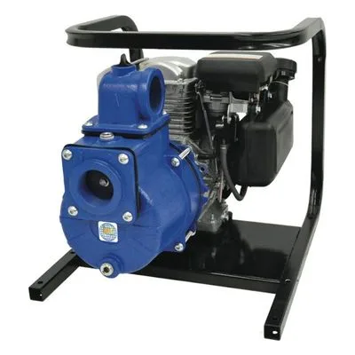 AMT Pump 2G4XACR, 2" NPT Solids Handling Pump, Briggs & Stratton OHV Engine Type, American Machine and Tool