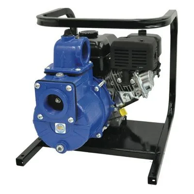AMT Pump 2G5XQCR, 2" NPT Solids Handling Pump, Honda GC160 OHV Engine Type, American Machine and Tool