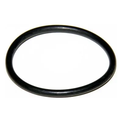 Yamada Pumps Part # 640044 O RING 46MM X 3.5MM B70