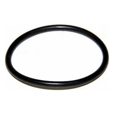 Yamada Pumps Part # 640134 O RING 44.5MM X 3MM B70
