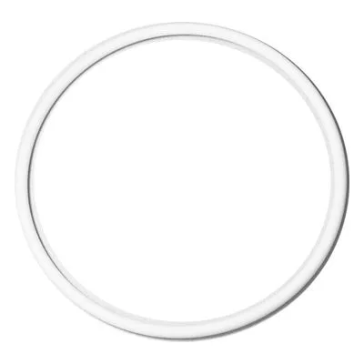 Yamada Pumps Part # 643080 O RING 149.6MM X 5.7MM PTFE