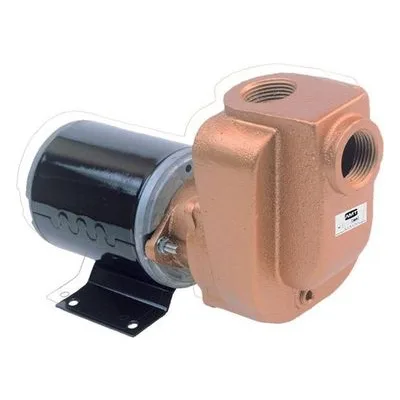 AMT Pump 4850-97, 3/4" Self-Priming Centrifugal Bronze Marine Pump, American Machine and Tool