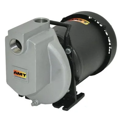 AMT Pump 4294-98, 1" Stainless Steel Self-Priming Centrifugal Pump, American Machine and Tool