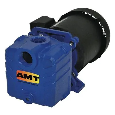 AMT Pump 2851-95, 1" NPT Cast Iron Self-Priming Centrifugal Pump, American Machine and Tool