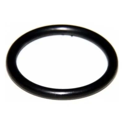Yamada Pumps Part # 640130 O RING 24.5MM X 3MM B70