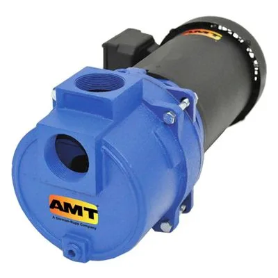 AMT Pump 316A-95, 2" NPT Sewage / Trash Pump, American Machine and Tool