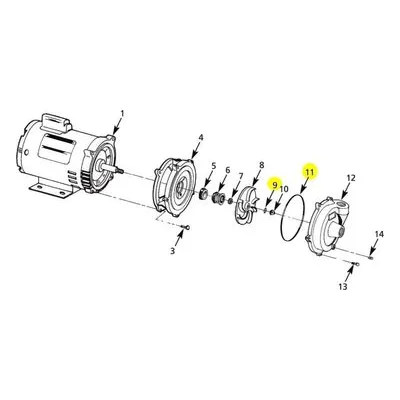 AMT Pump Repair Part Seal Kit 3690-300-90, BUNA GASKET / O-RING SUBGROUP