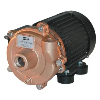AMT Pump 3670-94, Straight Centrifugal Models - Bronze Marine Pump, American Machine and Tool