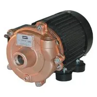 AMT Pump 3670-94, Straight Centrifugal Models - Bronze Marine Pump, American Machine and Tool
