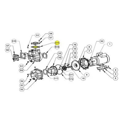 IPT AMT Pump Repair Part 1A31-305-90, EPDM/EPR FLANGE GASKET SUBGRP KIT Self Priming