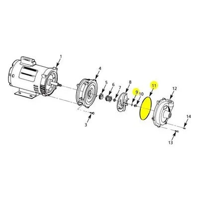 AMT Pump Repair Part 3680-300-91, VITON GASKET/O-RING SUBGROUP KIT 368A, 368B & 368C