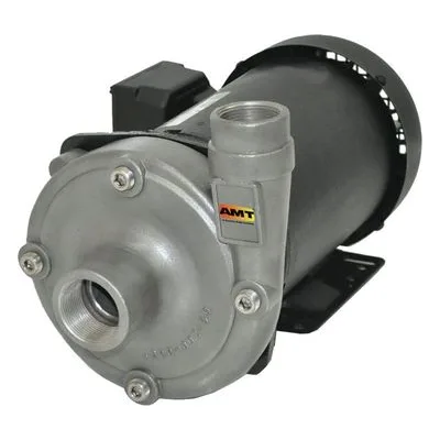 AMT Pump 4890-95, 1 Hp High Head Straight Centrifugal Pump, Cast Iron, American Machine and Tool
