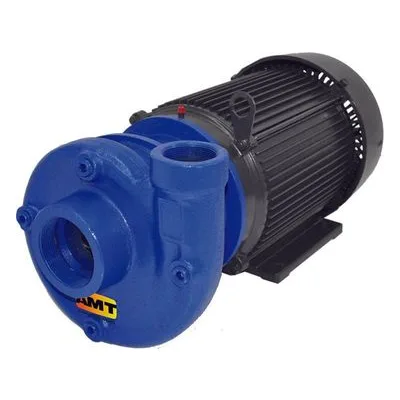 AMT Pump 3150-95, Heavy Duty Straight Centrifugal Pump, Cast Iron With Stainless Steel Impeller, American Machine and Tool