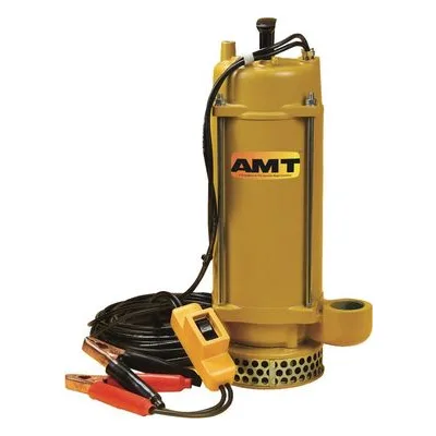 AMT Pump 5890-DC, 12 Volt Dc Aluminum Submersible, American Machine and Tool