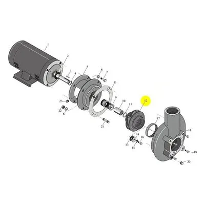 Berkeley Pump C105-224DE Water System Parts