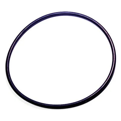 Yamada Pumps Part # 684125 O RING 149.6 MM X5.7 MM E70