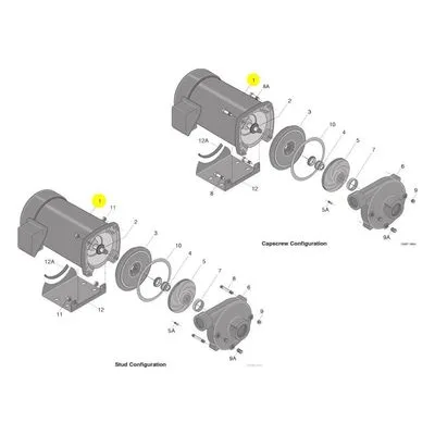 Sta-Rite AP100GL-T Replacement Above Ground Motors, SQUARE FLANGE (3-Phase, TEFC)