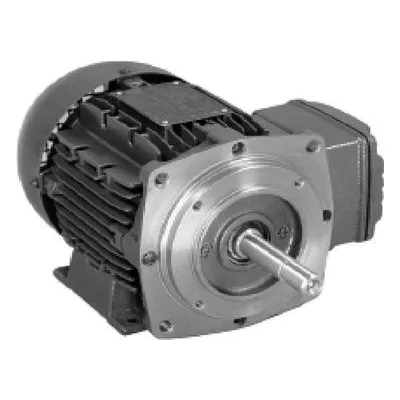 MTH Regenerative Turbine Pump Parts, WEC-4524-05-TEF D3 Style 80MM/56C Dual Face Motor. 1/2 HP, 3 Ph (Three Phase).
