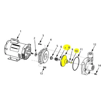 AMT Pumps 489G-011-98 IMPELLER XSS 1.00HP 12V SUBGROUP