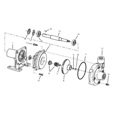 AMT Pump Repair Part 4900-301-90, VITON GASKET/O-RING SUBGROUP KIT