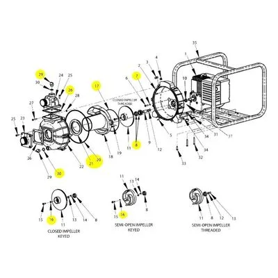 IPT / AMT Pump Repair Part 2PXE-300-90, 2PX THD EPDM ORING/GASKET/FLAP VALVE SBGRP