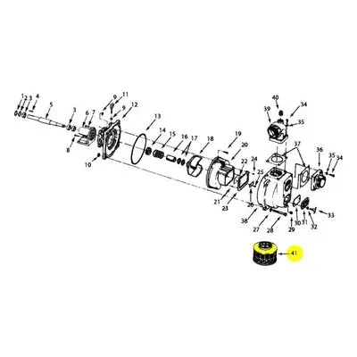 AMT Pump Repair Part 1681-001-00, 4.00INNPT STRAINER XST (TRASH TYPE)