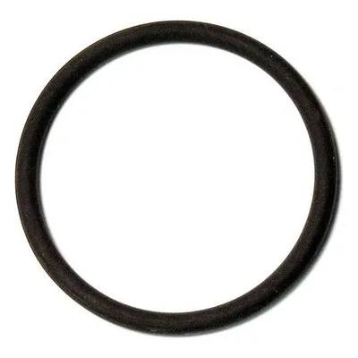 Yamada Pumps Part # 642042 O RING 43.7MM X 3.55M V75