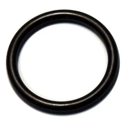 Yamada Pumps Part # 640018 O RING 20.5MM X 2.4MM B70
