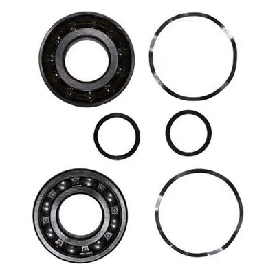 96796812 Grundfos Pump Kit, Ball Bearing 7310.BE/6310.Z.C4 Spare Repair Parts & Accessories.