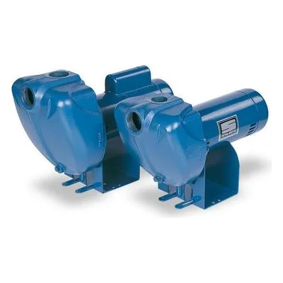 Sta-Rite Pumps DS3HE DS3 Series Self-Priming Pump, DS3 Self-Priming Pump, High Head