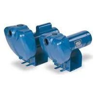 DS3 PRO-Storm Centrifugal Pumps